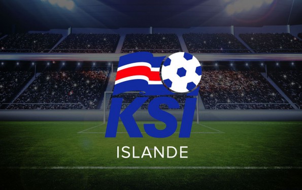 Selection de l'équipe d'Islande pour l'euro 2016