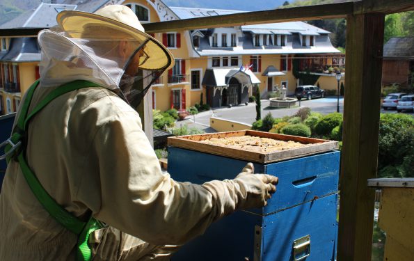 L'apiculteur prend soin des Abeilles - Rucher des Trésoms - Hotel environnemental Annecy